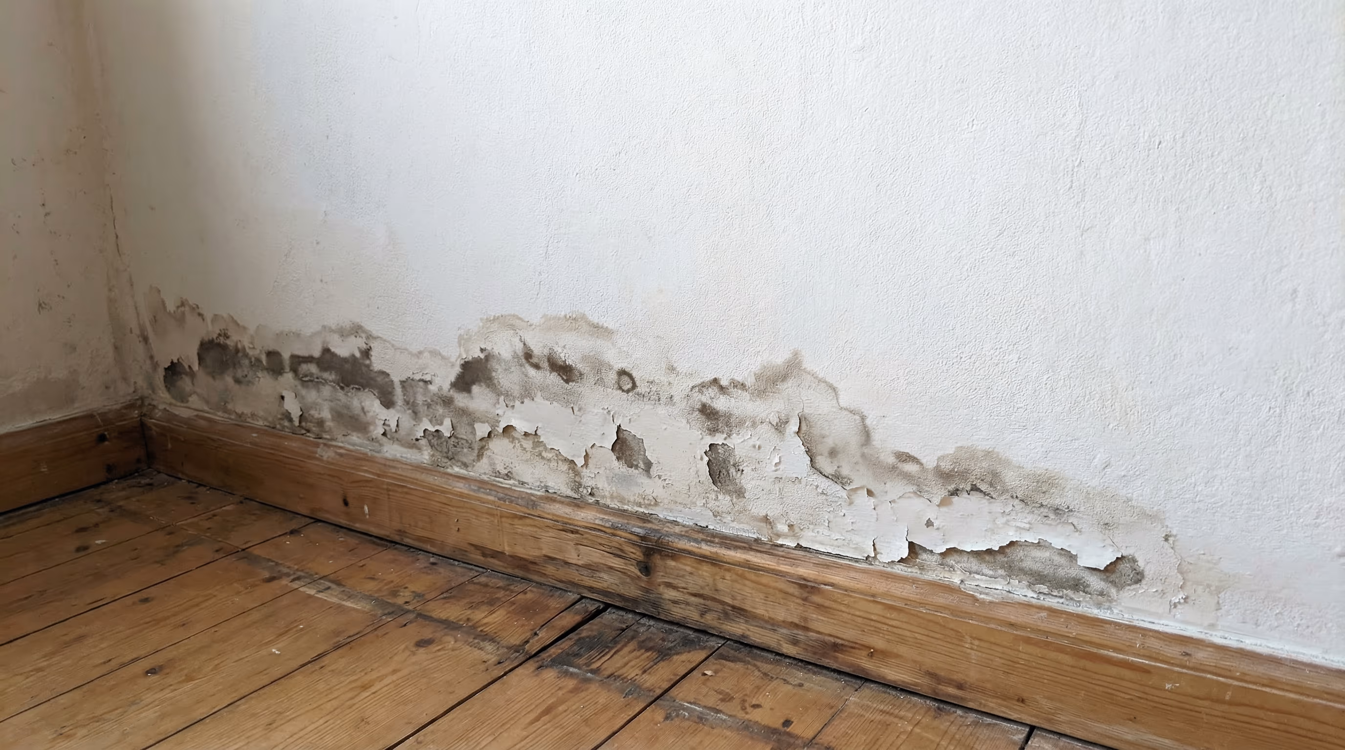 Parede com umidade visível no rodapé